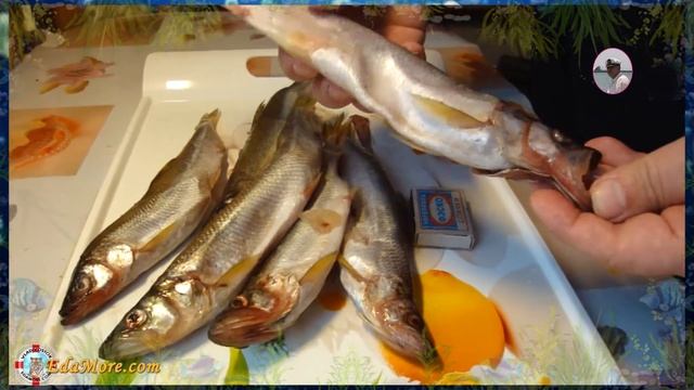 Корюшка рыба. Корюшка фото и видео от Petr de Cril'on & SonyKpK смотреть онлайн