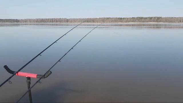 Открытие фидерного сезона 2021 на Волге. Рыбалка на Волге. Подлещики и судак на фидер. #KAIDA смотреть онлайн