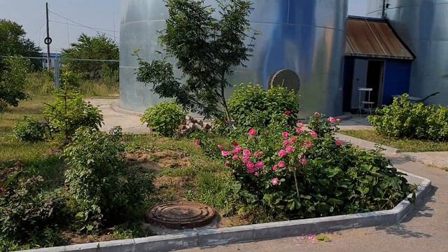Благоустраиваем потихоньку участок на работе смотреть онлайн