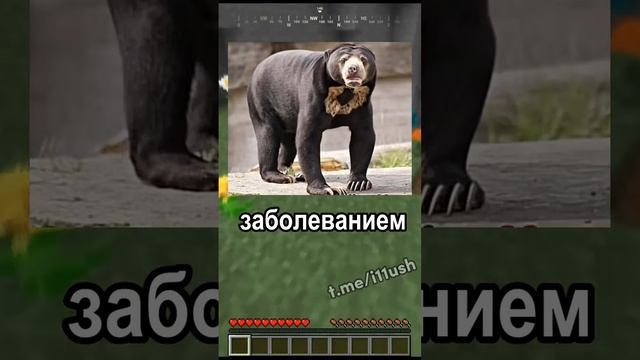 Спидран по Тик-Току Пришелец