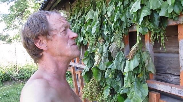 необычные веники для бани смотреть онлайн