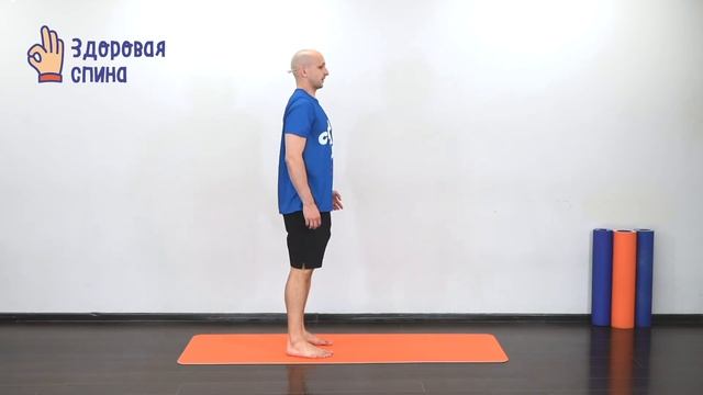 ВЫПУСК №17 | СТРЕТЧИНГ | ЗДОРОВАЯ СПИНА | СПАРТАНЦЫ ОНЛАЙН смотреть онлайн