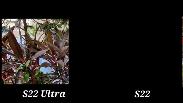 Samsung Galaxy S22 vs S22 Ultra - The best Flagships to buy right now? смотреть онлайн