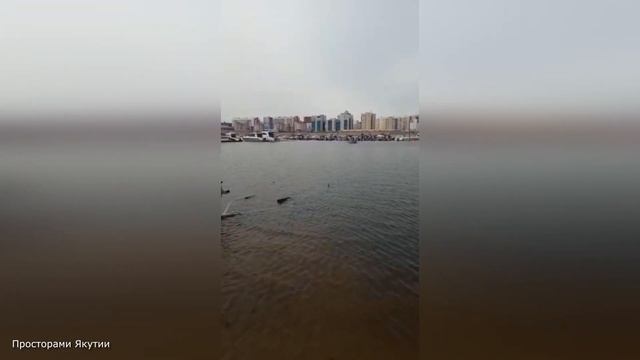 Благодарность за 1000 подписчиков. Окончание водномоторного сезона. смотреть онлайн