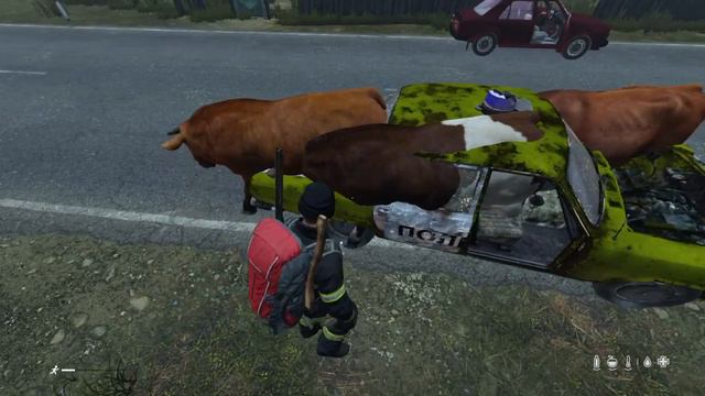 DayZ_33 коровы ;) смотреть онлайн