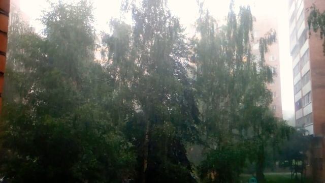 Летний ливень!!