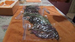 Акваферма №2 ч 8.Что с водой. Новые растения