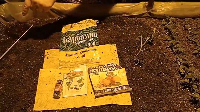 Китайская смесь - подкорма рассады №1 смотреть онлайн