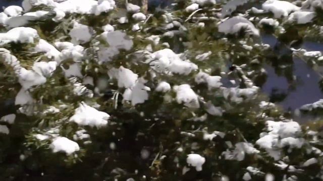 ❤️🙏РОЖДЕСТВО ХРИСТОВО автор и исполнитель Анатолий Кулагин смотреть онлайн