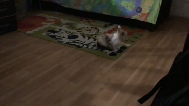 В Аркашу вселяется бес