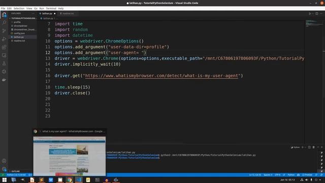 Bikin Bot Web Automation Python Selenium | Custom UserAgent | Belajar Python di Visual Studio Code смотреть онлайн