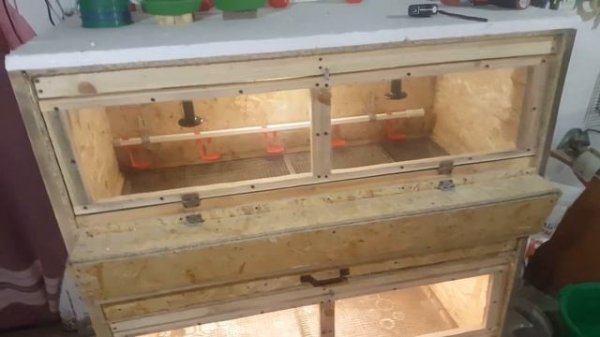 Брудер для цыплят своими руками