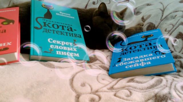 Обзор книги"Приключения кота детектива"часть 3"Загадка сбежавшего сейфа". смотреть онлайн