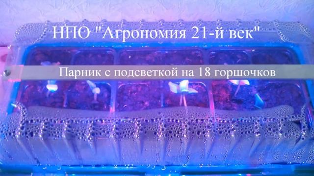 Мини-парник "Форсаж" с подсветкой для выращивания рассады от НПО "Агрономия 21-й век" смотреть онлайн