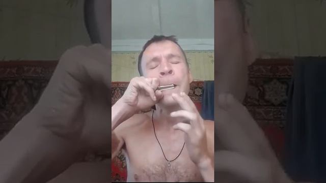 Алтайский варган смотреть онлайн