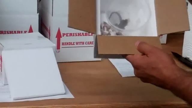 Underground Reptiles - How we ship your animals to you! смотреть онлайн