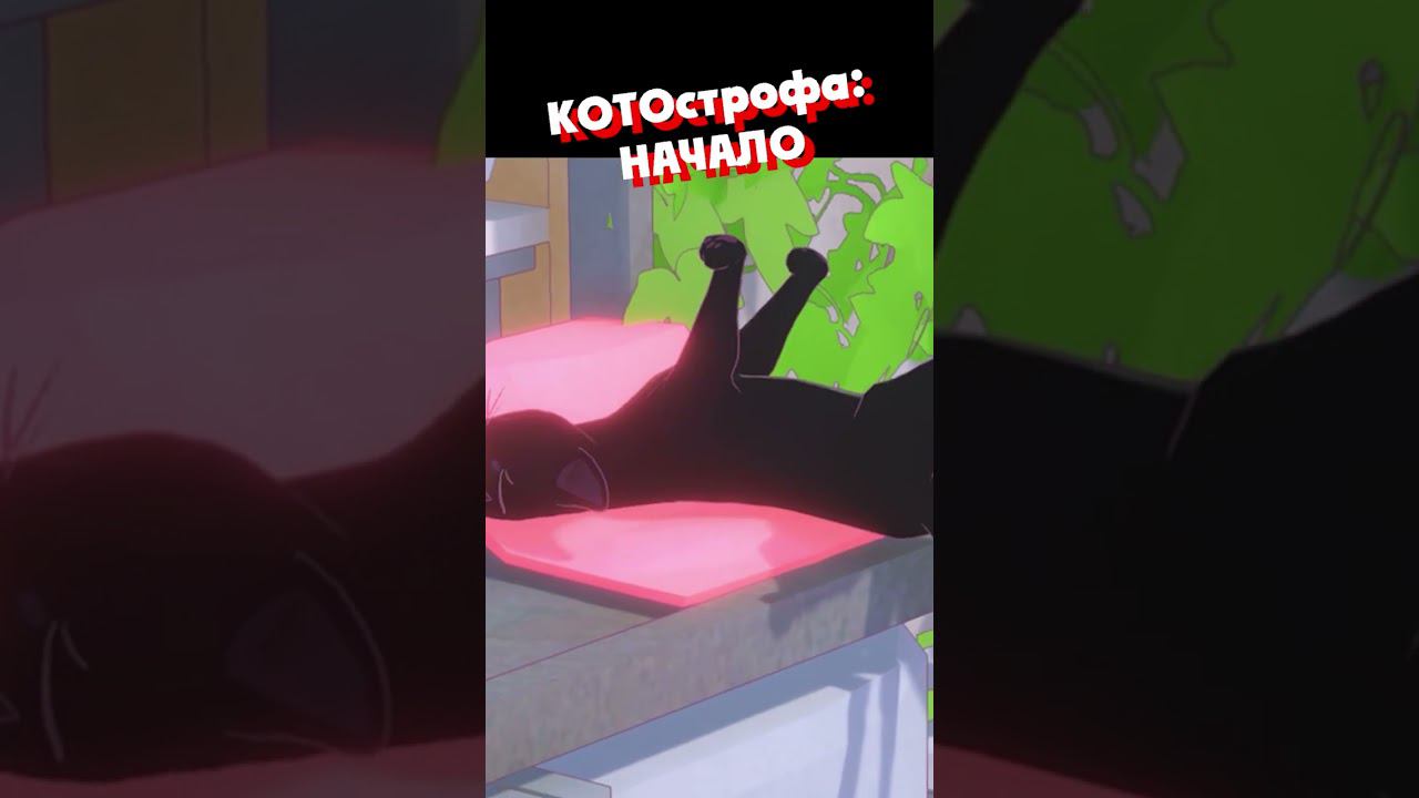 ЗАМУРЧАТЕЛЬНО | @Ozvu4enoMedoedom смотреть онлайн