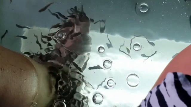 Геленджик Пилинг рыбками Гарра Руфа. Честный отзыв. смотреть онлайн