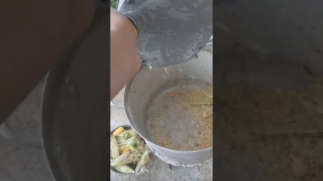 Как дробить молодые качаны ДКУ смотреть онлайн