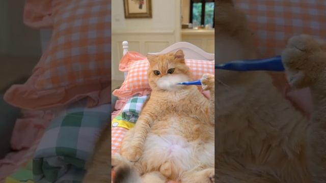 АХХАХВХАХАХВХВХВХВХАХАХ смотреть онлайн