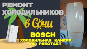 Холодильник Bosch KGN39VK, не холодит верхняя камера.