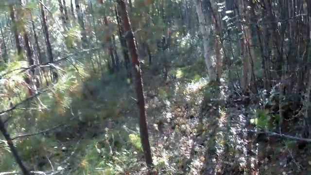 Тихая охота! _2018год