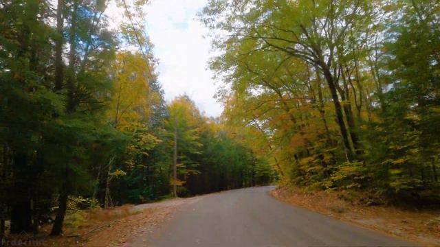 Fall Foliage Colors in New England - Autumn Scenic Roads of New Hampshire (10 17 20) - Rear View смотреть онлайн