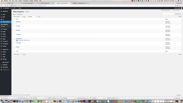 How to edit the Program Menu in BW-Radio WordPress theme смотреть онлайн
