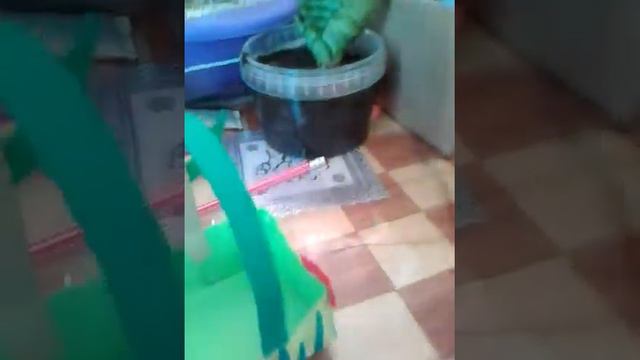 Пасха пришла!!!!!!! смотреть онлайн