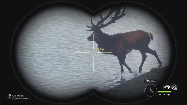 How To STACK CASH FAST (GRINDING) - Call of the Wild смотреть онлайн