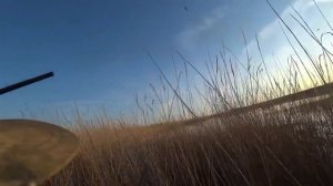 Двухдневная охота на Серого гуся в Калмыкии