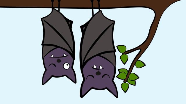 Квартиры в Москве и Санкт-Петербурге от 3,1 млн рублей смотреть онлайн