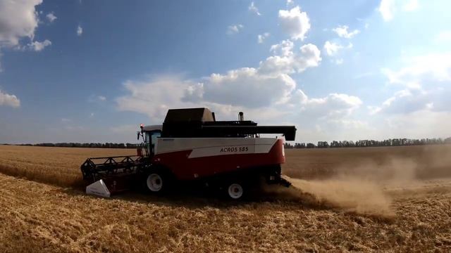 Уборка 2020. Озимая пшеница. Акрос 585, Вектор 410.The life of a farmer. Village life смотреть онлайн