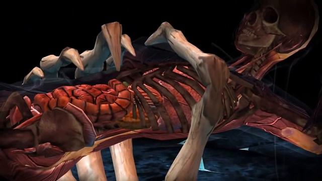 FATALITY X-RAY part1 (Mortal Kombat X Mobile) смотреть онлайн
