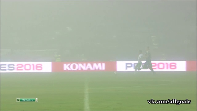 Босния и Герцеговина 1-1 Ирландия / Голы / 14.11.2015