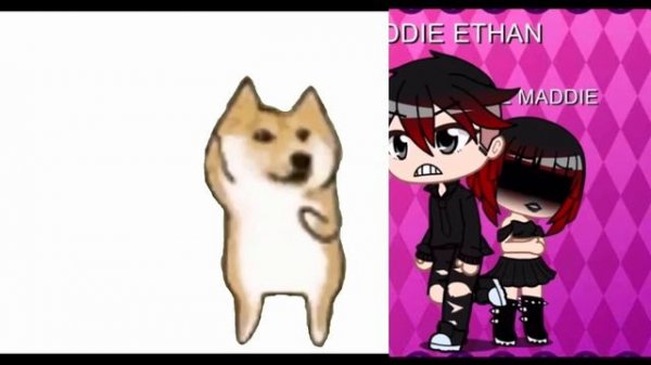 Did somebody say SALAMI? GULP GULP GULP GULP GULP GULP GULP SALAMI ??