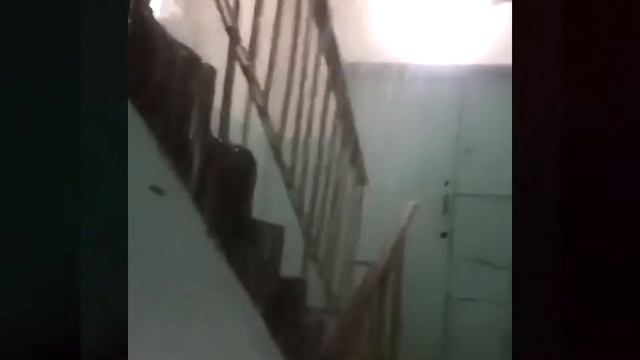 Хабаровск дожди заливают подъезды Краснодарская Ясная июнь 2018 смотреть онлайн