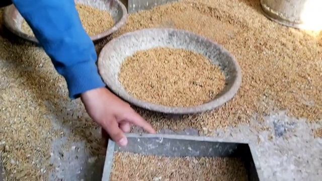 Java Sparrow Setup || Visited in Lahore Pakistan #java смотреть онлайн