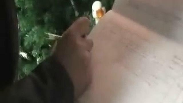 Законно ли поведение милиции при проверке в торговой точке 01 Томская область Каргасок смотреть онлайн