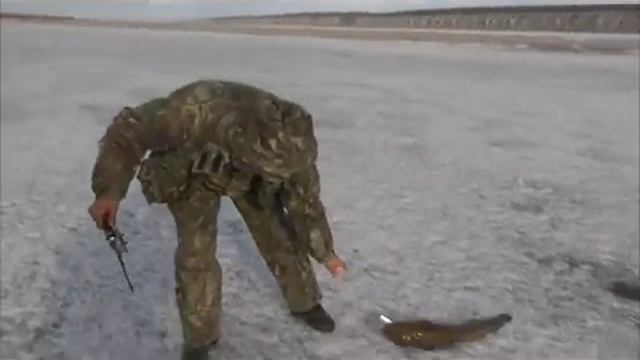 Охота с духовыми манками на уток. # 199 (02.06.16) смотреть онлайн