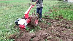 ✅Осенняя вспашка мотоблок Мтз беларус 09Н