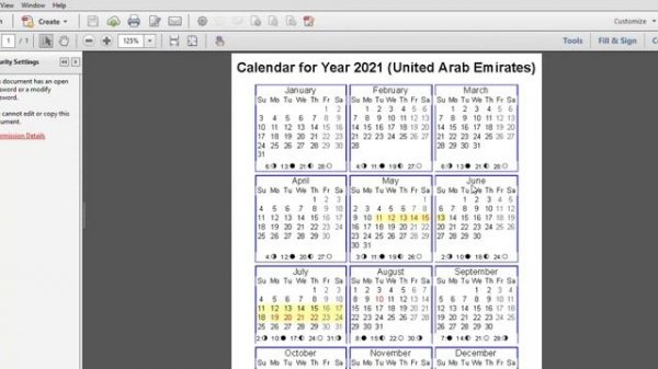 UNLOCK  SECURED PDF FILE