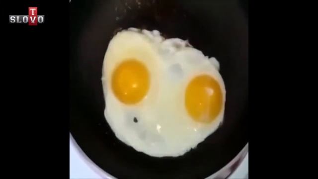 Яичница быстро читает)) смотреть онлайн