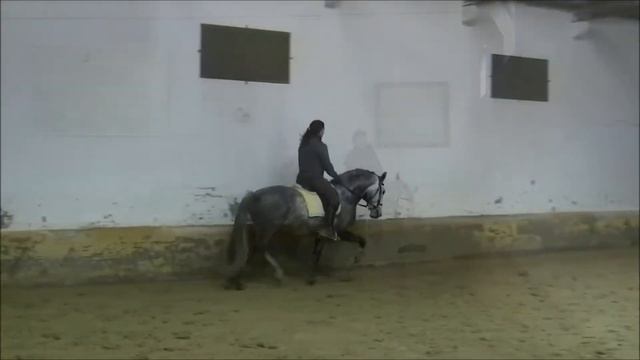 Izzi, Casa Agricola Palma Carpinteiro (CAP) смотреть онлайн
