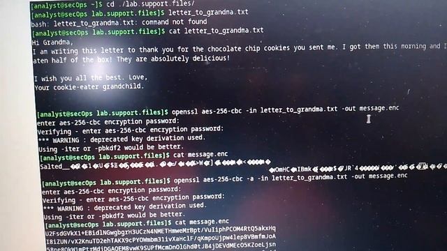 21.2.10 Lab - Encrypting and Decrypting Data Using OpenSSL смотреть онлайн