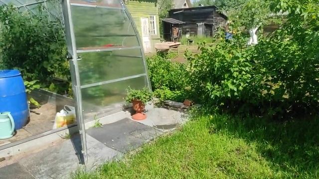 05.07.22.Дача..Пионы..Розы. смотреть онлайн