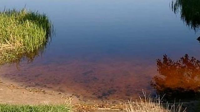 Дева, что принесёт вам Август 2021, астрологический прогноз смотреть онлайн