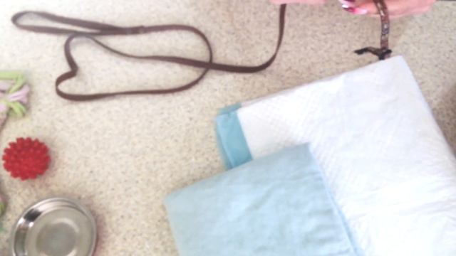 Улыбка животных