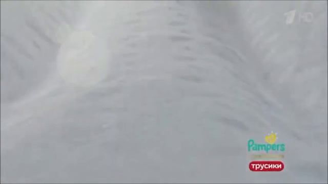 Реклама Памперс Премиум кеа - Август 2020 смотреть онлайн