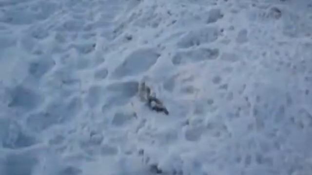 НЕ аккуратный поворот impreza nsk.MPG смотреть онлайн